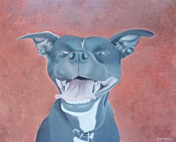 Img 20210525 201322 2