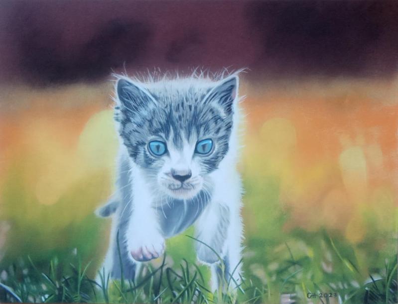 Img 20230926 182040 740 2884576863126437 1